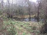 TBD Big Creek - Photo 4
