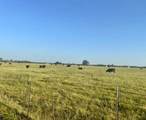 TBD Cr 358 - Photo 4