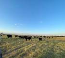 TBD Cr 358 - Photo 7