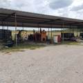 3814 Highway 281 - Photo 6