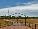 464 County Road 198 - Photo 1