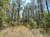 0 Lost Indian Camp Rd - Photo 10