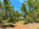 0 Lost Indian Camp Rd - Photo 11