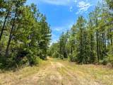 0 Lost Indian Camp Rd - Photo 4