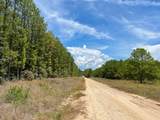 0 Lost Indian Camp Rd - Photo 5