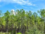0 Lost Indian Camp Rd - Photo 8