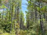 0 Lost Indian Camp Rd - Photo 9