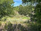 3044 Winding Creek Trail - Photo 17