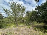 3044 Winding Creek Trail - Photo 20
