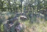 Lot 265 Ridgeline Drive - Photo 4
