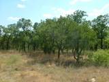 Lot 265 Ridgeline Drive - Photo 7