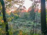 0 Cr 1651 - Photo 4