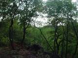 6H Stagecoach Trail - Photo 2