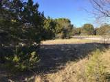 43093 Indian Blanket Drive - Photo 1