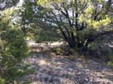 43093 Indian Blanket Drive - Photo 11