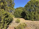 43093 Indian Blanket Drive - Photo 14