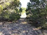 43093 Indian Blanket Drive - Photo 16