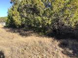 43093 Indian Blanket Drive - Photo 17