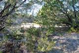43093 Indian Blanket Drive - Photo 4