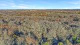 TBD 87 Acres Reynolds Lane - Photo 10