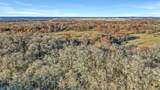 TBD 87 Acres Reynolds Lane - Photo 12