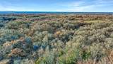 TBD 87 Acres Reynolds Lane - Photo 16