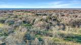 TBD 87 Acres Reynolds Lane - Photo 21