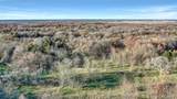 TBD 87 Acres Reynolds Lane - Photo 23
