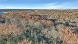 TBD 87 Acres Reynolds Lane - Photo 4