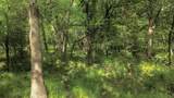 Lot 4 Cr 1610 - Photo 11