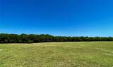 Lot 4 Cr 1610 - Photo 3