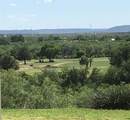 529 Overland Trail - Photo 21