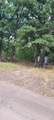 208 Whiteface Drive - Photo 4