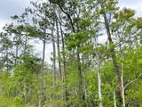 000000 Cravens Camp Rd. - Photo 2