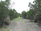 TBD-Lot 41 Pr 42107 - Photo 11