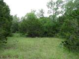 TBD-Lot 41 Pr 42107 - Photo 21