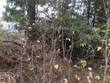 000 Forest Hill Drive - Photo 3