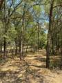 TBD W Hwy 84 - Photo 11