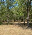 TBD W Hwy 84 - Photo 12