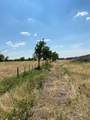 TBD W Hwy 84 - Photo 18