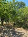 TBD W Hwy 84 - Photo 20