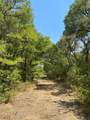 TBD W Hwy 84 - Photo 4