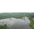 2102 County Road 2610 - Photo 21