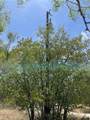 TBD Cr 316 Road - Photo 4