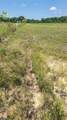 30 Acres Cr 3615 - Photo 5