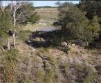 Lot 44 Hill Creek Lane - Photo 1