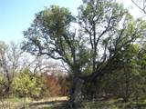 TBD Pr 42112 - Photo 35