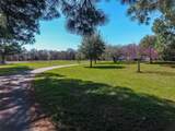 2929 Sagebrush Drive - Photo 3