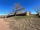 508 College Street - Photo 3