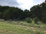 43020 Whisperwood Drive - Photo 3